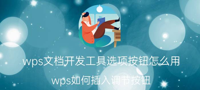 wps文档开发工具选项按钮怎么用 wps如何插入调节按钮？